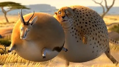 The Chase