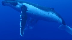 Deep hug love