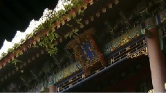 寂静的花