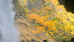紅枼松川溪谷雷滝