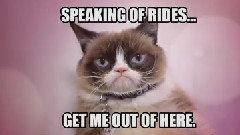 Grumpy Cat's Birthday Party In NYC