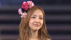 桜の花びらたち