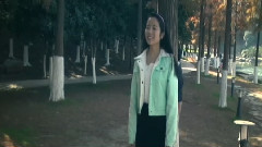 我怀念的