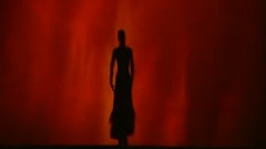 Flamenco