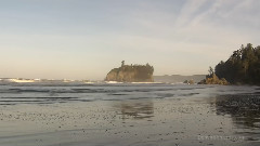 太平洋海岸