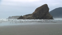 太平洋海岸
