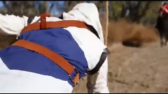Assassin's Creed 3 Meets Parkour In Real Life