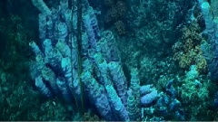 Underwater Secret World