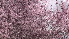世界上最美丽的地方 四季