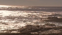 太平洋海岸