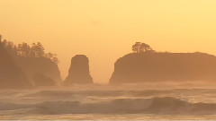 太平洋海岸