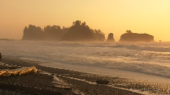 太平洋海岸