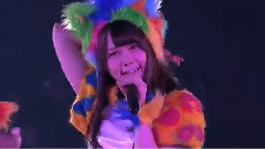 シャムネコ