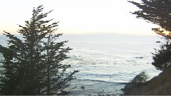 太平洋海岸
