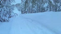 Dream Snow Song
