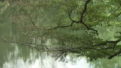 草木山川