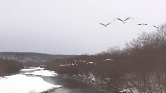 The Daydream Memories Of The Winter