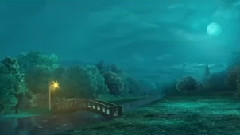 Panoramic Environments
