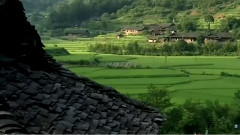 最美中国之桃花源