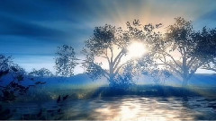 Softly Awakening