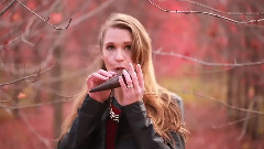 Doctor Who Theme On STL Ocarina 50th Anniversary Celebration