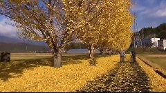 秋韵