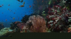 海洋世界