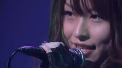 Blue Rose