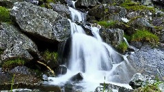 The Water