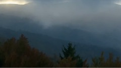 Wild France 4