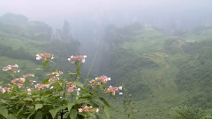 张家界2