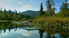 The River