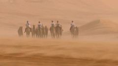 The Desert Solitary Smoke