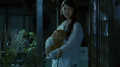 映画