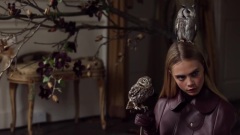 Cara Delevingne与猫头鹰