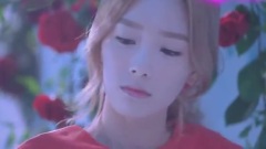 Love Ballad