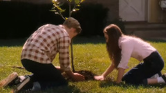 Let It Be My