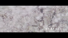 难念的经