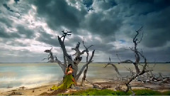 Sharon den Adel - In And Out Of Love 2012