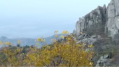 泰山