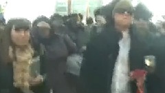 TVdaily