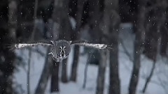 Snow And Ice