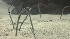<海洋>精选