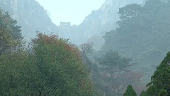 泰山