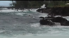 阿莲