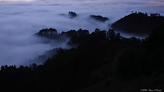 Потрясающе красивое