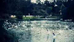 Reperages Fantastique Buttes Chaumont Versio Amelioree
