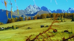 Through The Seasons