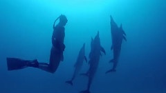 Humilitas