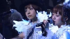 Bird AX